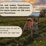 Urlaubsmagie Wiesengruen - Direkt Am Wanderweg - Fuer 6p Apartament Sebnitz