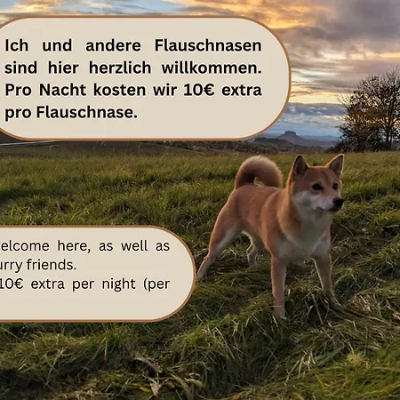 Urlaubsmagie Wiesengruen - Direkt Am Wanderweg - Fuer 6p - W6 公寓 赛博尼茨