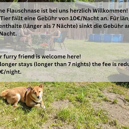 Urlaubsmagie Wiesengruen - Direkt Am Wanderweg - Fuer 6p - W6 * 赛博尼茨
